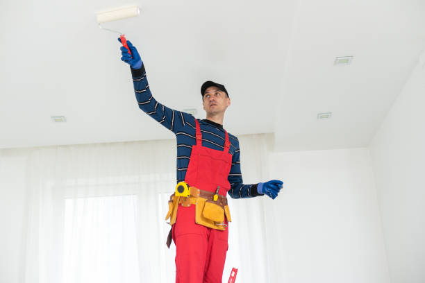 Best Post-Construction Mold Inspection  in Eau Claire, WI